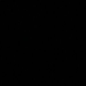 Meet your Posher, Dashia